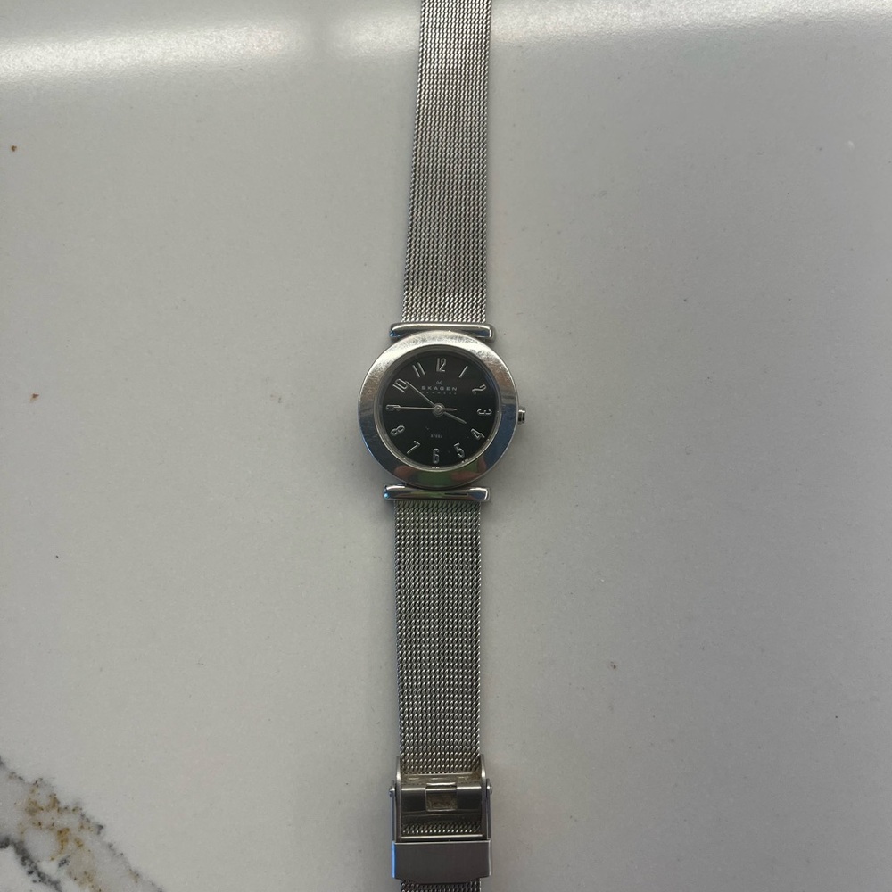 Skagen Silver Mesh Watch with Black Dial